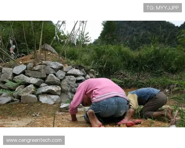 凯发k8网站VIP会员制度介绍享受专属特权与优先服务